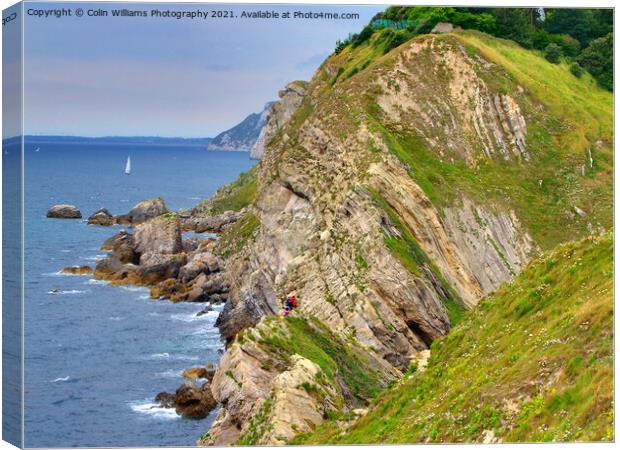 Stair Hole and Lulworth Cove 3 Canvas Print by Colin Williams Photography