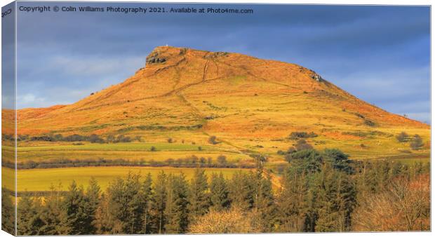 Roseberry Topping North Yorkshire 4 Canvas Print by Colin Williams Photography