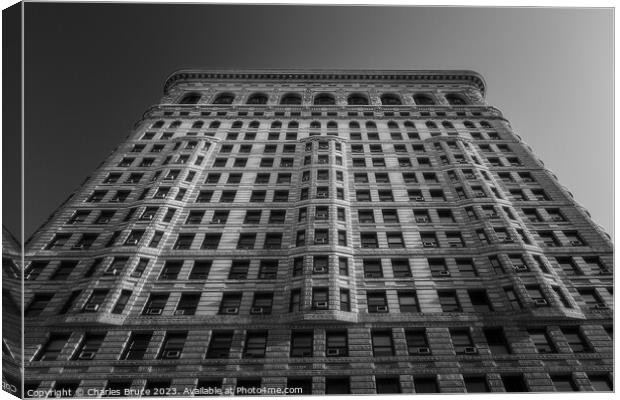 Flat Iron Canvas Print by Charles Bruce