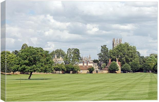 Merton Field Canvas Print by Tony Murtagh