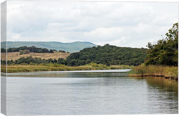 River Ropotamo Canvas Print by Tony Murtagh