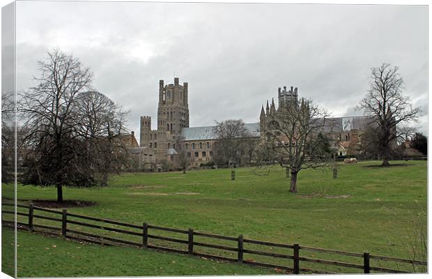 Ely Cathedral Canvas Print by Tony Murtagh