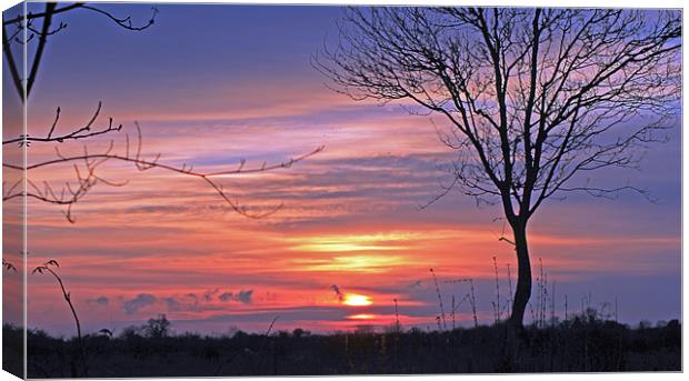 Countryside Sunset Canvas Print by Tony Murtagh