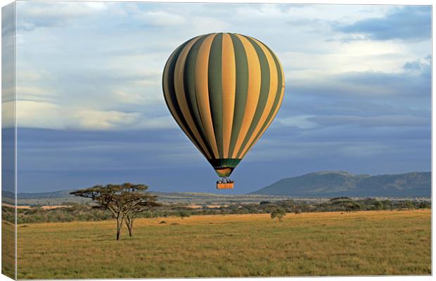 Hot Air Balloon over Serengeti Canvas Print by Tony Murtagh