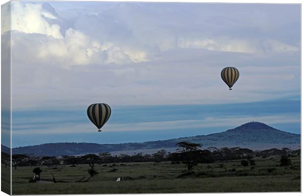 Balloons above Serengeti. Canvas Print by Tony Murtagh