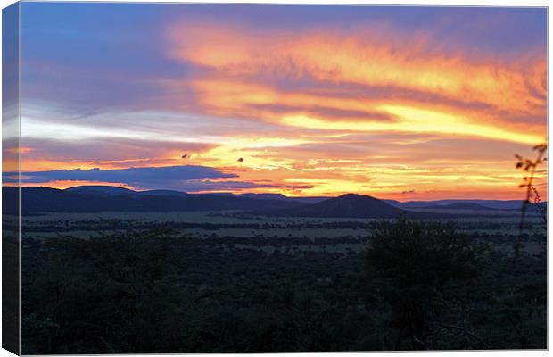 Sun setting over Serengeti Canvas Print by Tony Murtagh
