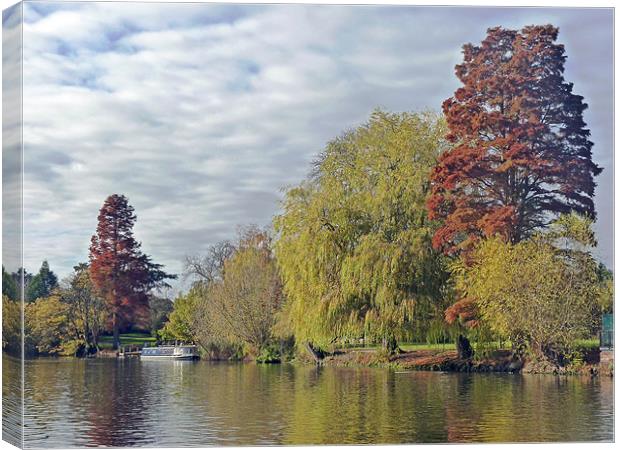 River Avon Canvas Print by Tony Murtagh