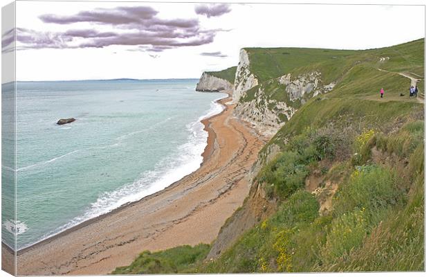 The Jurassic Coast Canvas Print by Tony Murtagh