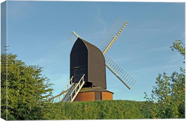 Windmill at Brill Canvas Print by Tony Murtagh