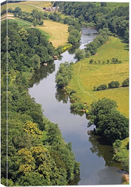 River Wye Canvas Print by Tony Murtagh