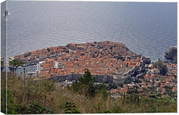 Old City of Dubrovnik Canvas Print by Tony Murtagh