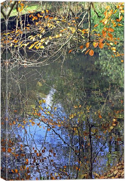 Autumn Reflections Canvas Print by Tony Murtagh