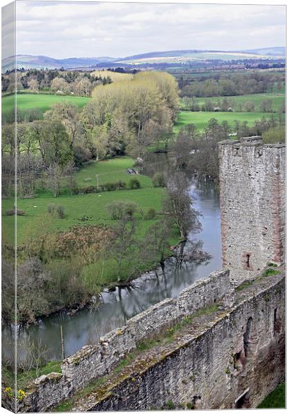 River Teme at Ludlow Castle Canvas Print by Tony Murtagh