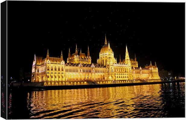 Parliament Building At Night Canvas Print by Tony Murtagh