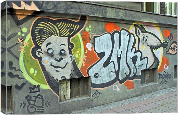 Graffiti in Belgrade Canvas Print by Tony Murtagh