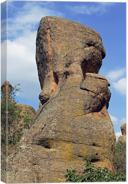 Rock Formation Belogradchik   Canvas Print by Tony Murtagh