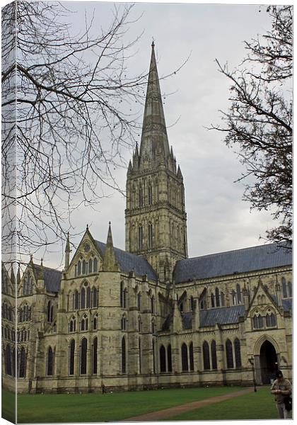  Salisbury Cathedral Canvas Print by Tony Murtagh