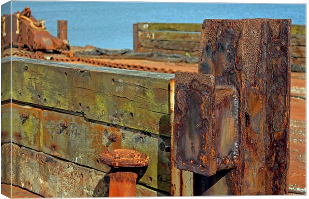 Weatherworn  Canvas Print by Tony Murtagh