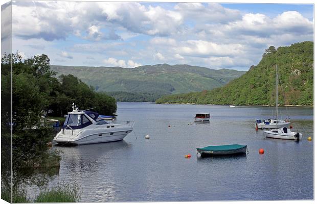 Loch Lomond   Canvas Print by Tony Murtagh