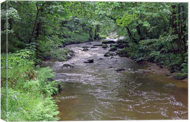 East Lyn River  Canvas Print by Tony Murtagh