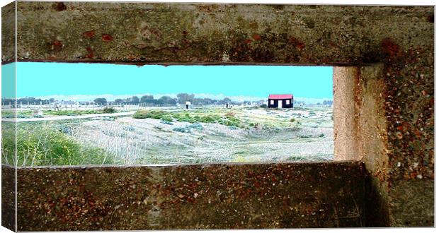 Little red roofed shack Canvas Print by Alison Jackson