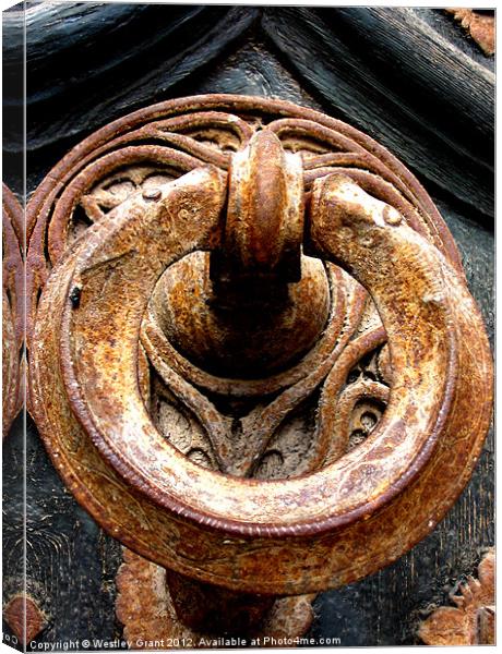 Knockers Canvas Print by Westley Grant