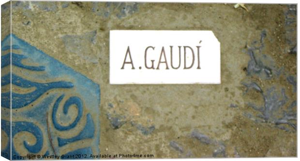 A.GAUDI Canvas Print by Westley Grant