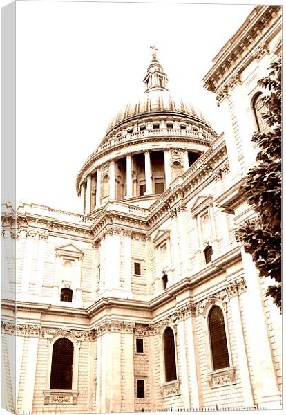 Dome Canvas Print by Westley Grant