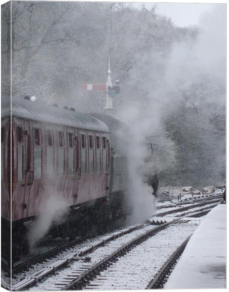 Winter Steam Canvas Print by John Taylor