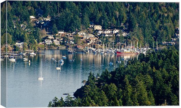 BRENTWOOD BAY vancouver island BC canada Canvas Print by Andy Smy