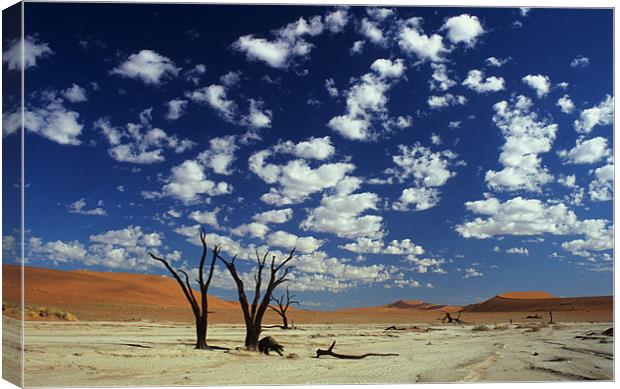 Dead Vlei, Namib desert Canvas Print by Michal Cerny