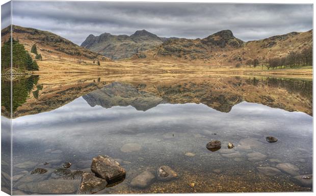 Blea Tarn March Reflections Canvas Print by Jamie Green