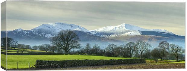 The Coledale Round Canvas Print by Jamie Green