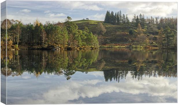 Tarn Hows Canvas Print by Jamie Green