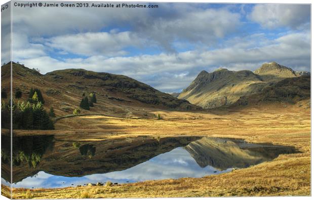 Blea Tarn Canvas Print by Jamie Green