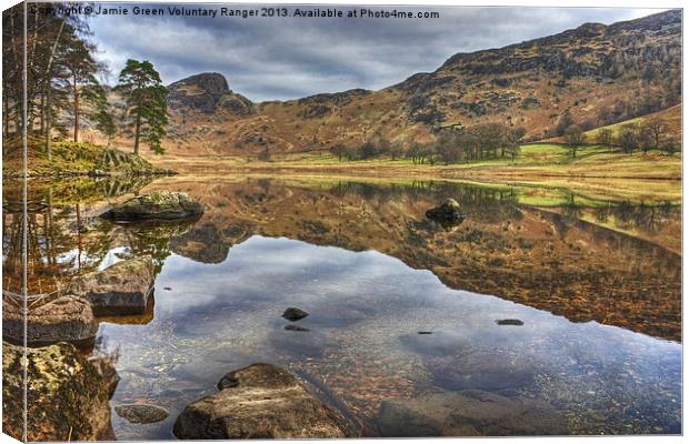 Blea Tarn Langdale Canvas Print by Jamie Green