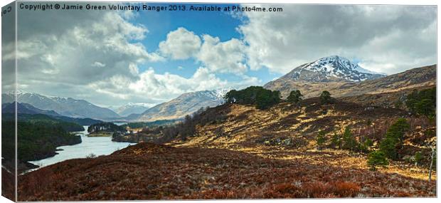 Glen Affric Canvas Print by Jamie Green