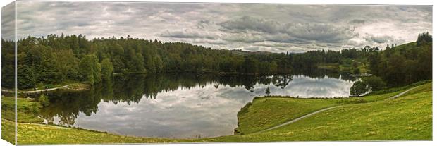 Tarn Hows In August Canvas Print by Jamie Green