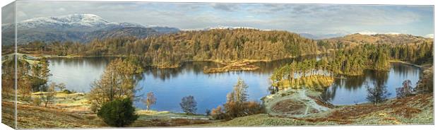 Tarn Hows In February Canvas Print by Jamie Green