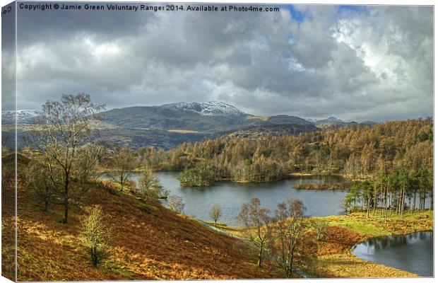 Tarn Hows,The Lake District Canvas Print by Jamie Green