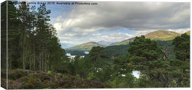 Glen Affric Panorama  Canvas Print by Jamie Green