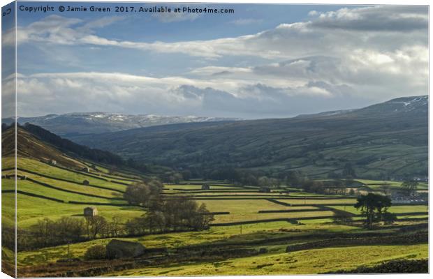 Swaledale Canvas Print by Jamie Green