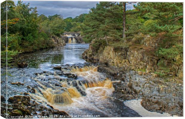 Low Force, Teesdale Canvas Print by Jamie Green