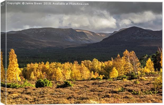 Autumn in the Cairngorms Canvas Print by Jamie Green