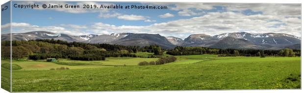Spring In The Cairngorms Canvas Print by Jamie Green