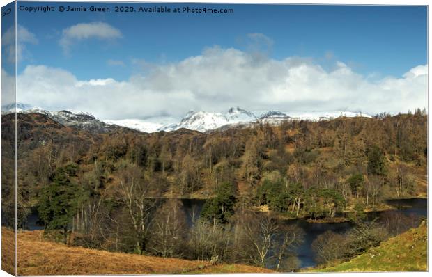 Tarn Hows and the Langdale Pikes Canvas Print by Jamie Green