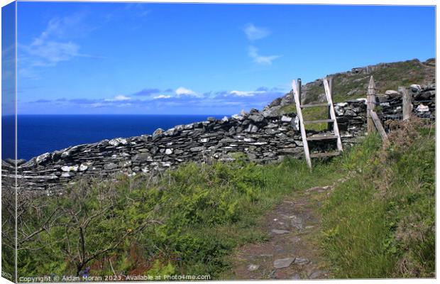 Costal Pathway on the Isle of Man Canvas Print by Aidan Moran