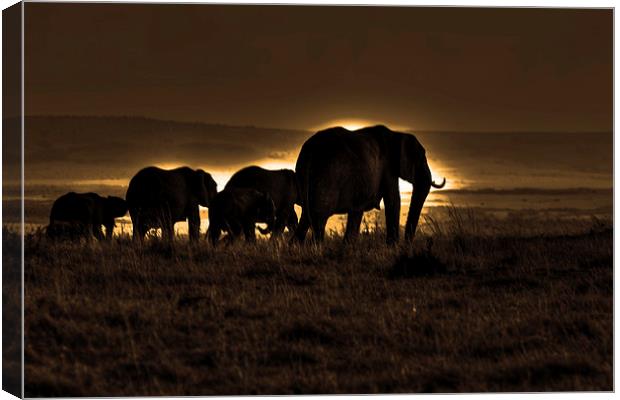  Elephant Herd On The Masai Mara Canvas Print by Aidan Moran