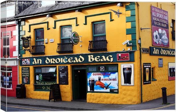  Dingle County Kerry Ireland  Canvas Print by Aidan Moran