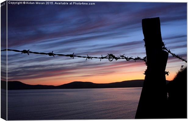 Barbed Wire Sunset  Canvas Print by Aidan Moran